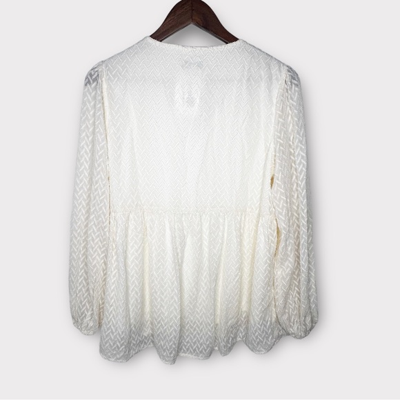 Polagram Cream Long Sleeve Embroidered Flowy Chiffon Textured Blouse - Picture 4 of 9